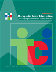 TCI Fidelity Assessment Information Bulletin cover